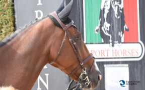 Ecco i podi dei Grand Prix nazionali A5*