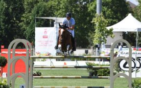 Frecciarossa MJC 2022: David Will conquista la 150 LR di giornata; Roberto Previtali sfiora il podio