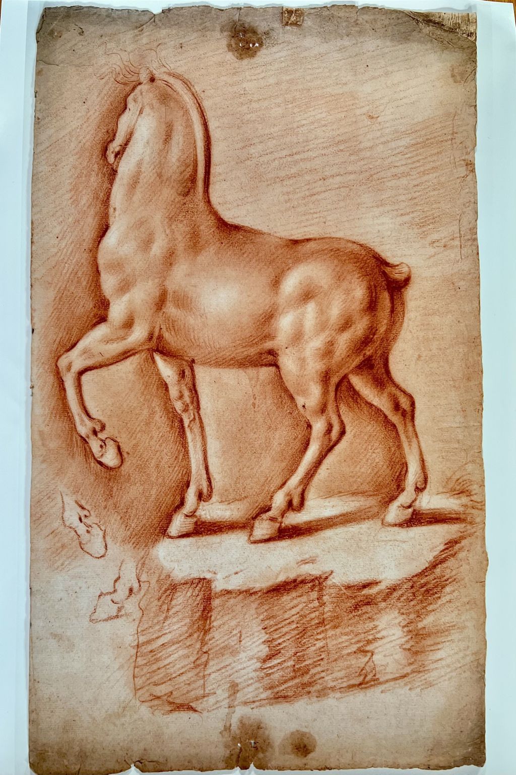 Il “cavallo ideale” di Leonardo Da Vinci 1