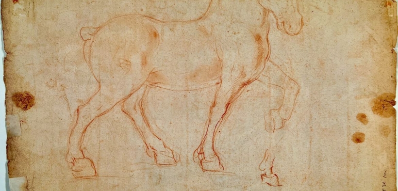 Il “cavallo ideale” di Leonardo Da Vinci