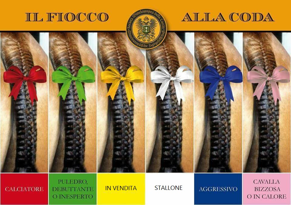 Mostrami il fiocco che porti, e ti dirò chi sei!