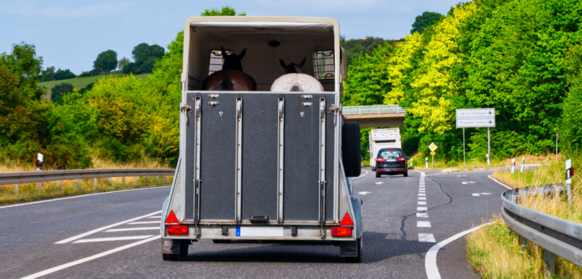 Aumento delle temperature: attenzione al trasporto dei cavalli