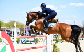 Bozza automatica 257