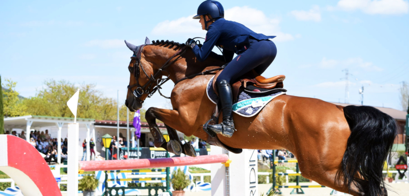 Bozza automatica 257