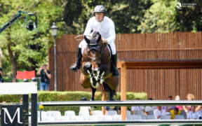 Infortunio al CHI di Zuidwolde per Willem Greve. Stop per i mondiali