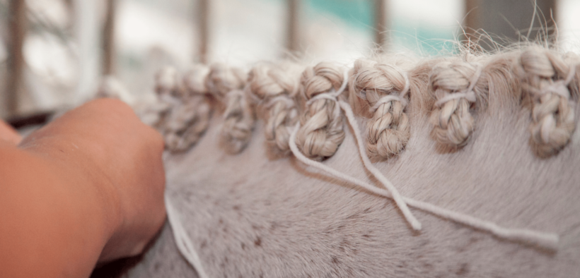 Nuovo corso di formazione per groom di CSEN ed EQUESTRIA 4