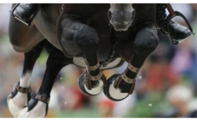 Regole FEI Salto ostacoli olimpico, l'intervento dell’IJRC – International Jumping Riders Club