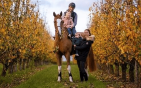 Apart e Chardonnay 79 ritirati dallo sport 1