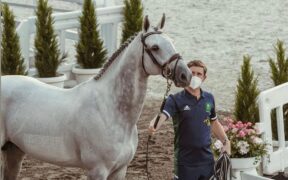 Bozza automatica 258