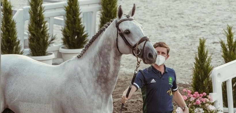 Bozza automatica 258