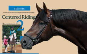 Centered Riding 2: quattro principi base e il "grounding" 3