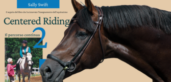 Centered Riding 2: quattro principi base e il "grounding" 3
