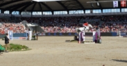 ECCO FEI World Championships di Herning al via: tutte le informazioni 1