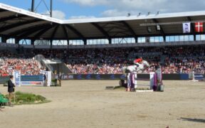 ECCO FEI World Championships di Herning al via: tutte le informazioni 1