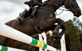 Europei Ambassador: ecco gli azzurri convocati