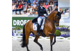 FEI Ranking Dressage, Cathrine Dufour on fire 1