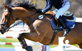 Finali Giovani Cavalli FISE: 2200 i cavalli già qualificati