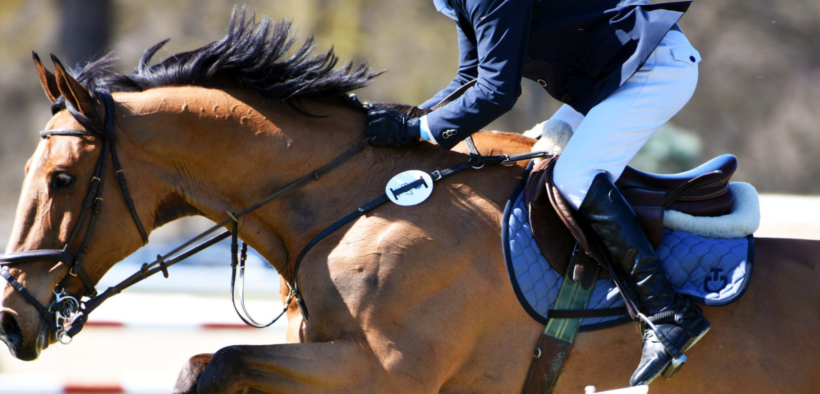 Finali Giovani Cavalli FISE: 2200 i cavalli già qualificati