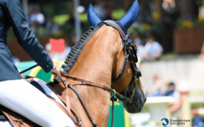 Gran Premi Naz. A5*: ecco i risultati 10