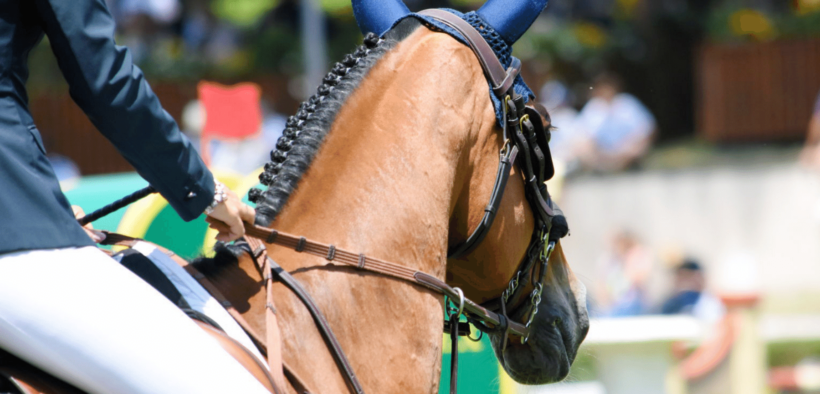 Gran Premi Naz. A5*: ecco i risultati 10