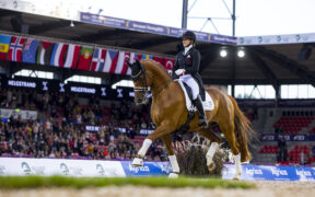 L'addio a Cassidy, il cavallo che fece sorgere la Dufour