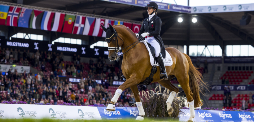 L'addio a Cassidy, il cavallo che fece sorgere la Dufour