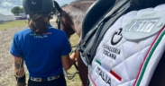 Mondiale paradressage, team Italia "fit to compete".