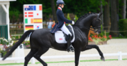 Mondiali Herning Dressage: ecco i favoriti al titolo