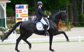 Mondiali Herning Dressage: ecco i favoriti al titolo