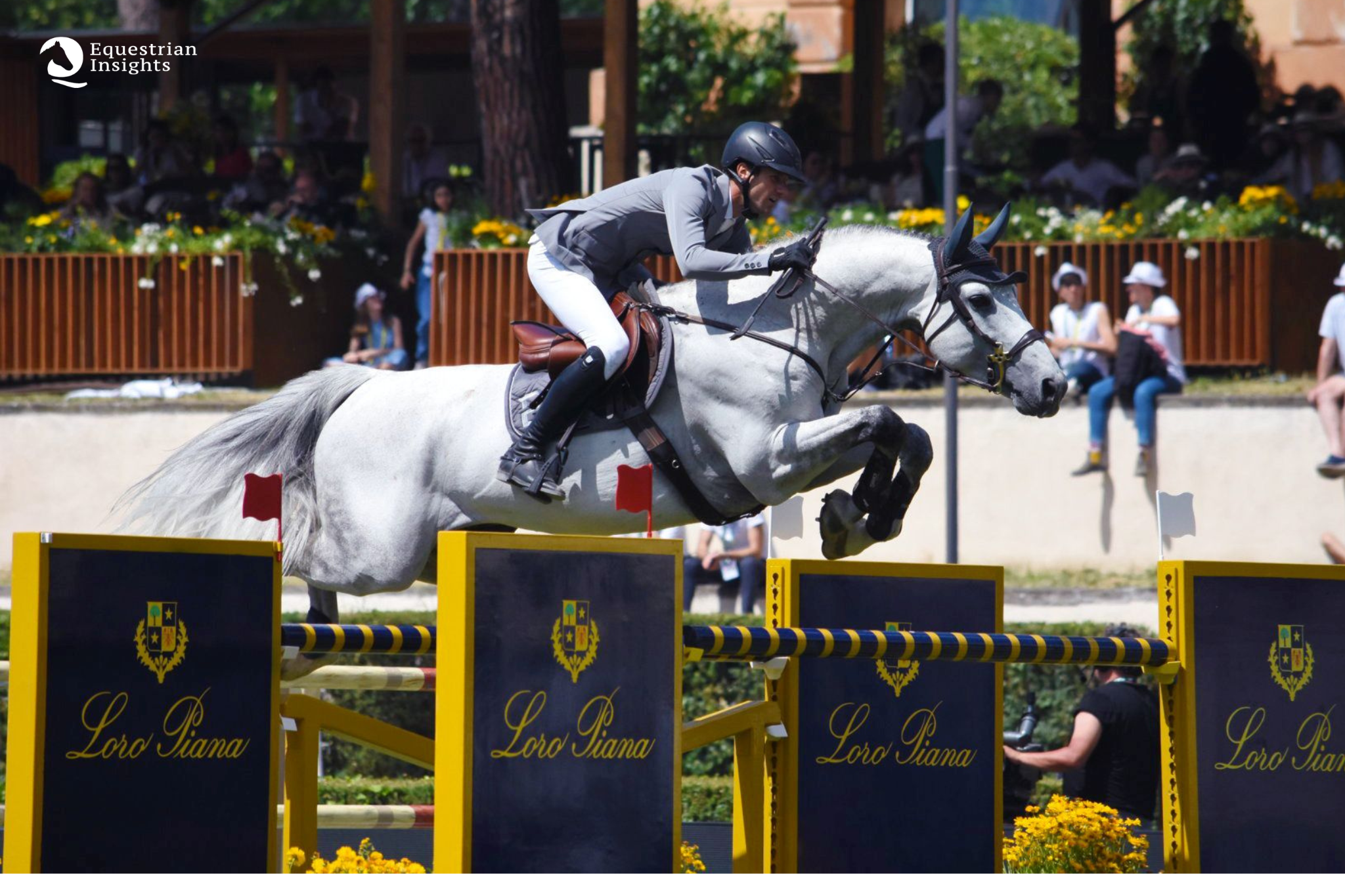Top Jumping Horses: Mumbai