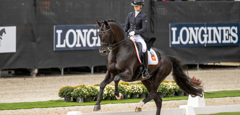 Dressage: ecco i vincitori dei Mondiali Giovani Cavalli FEI WBFSH di Ermelo