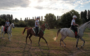 Endurance, il mondiale non si svolgerà in Italia: la FEI riapre la procedura di assegnazione