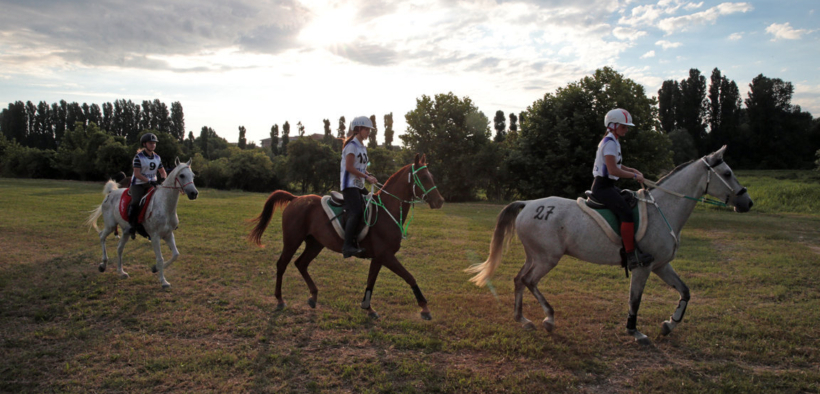 Endurance, il mondiale non si svolgerà in Italia: la FEI riapre la procedura di assegnazione