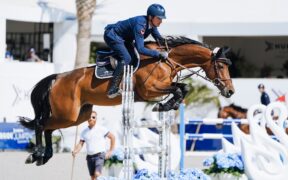 Lorenzo De Luca chiude il podio della 145 di Grimaud (CSI2*/LR)
