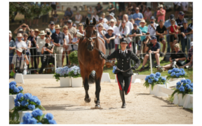Mondiali Completo, Pratoni 2022: domani s'inizia col dressage, il video del tracciato di cross-country