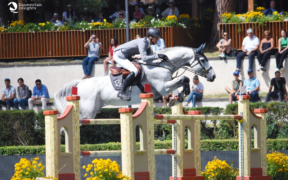 Top Jumping Horses: Mumbai 1
