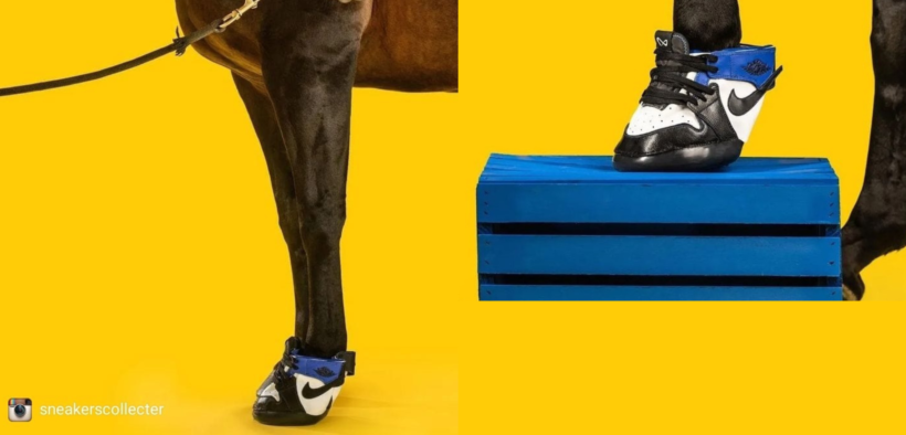 Anche i cavalli con le sneaker?…la “folle” idea del designer Marcus Floyd 2