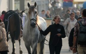 Fieracavalli 2022: un viaggio nel mondo delle razze equestri