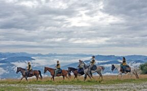Fieracavalli: sostenibilità e inclusione al centro della 124^ edizione