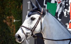 Gran Premi Naz. A5*: ecco i risultati 15