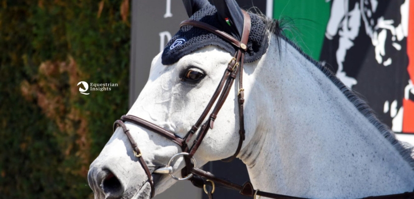 Gran Premi Naz. A5*: ecco i risultati 15