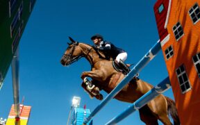 Top Jumping Horses: King Edward