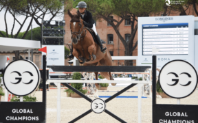 Bozza automatica 262