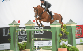 Django Ste Hermelle: con un solo occhio ai massimi livelli