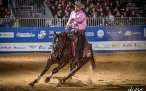 Fieracavalli esplora nuove opportunità di business legate al cavallo americano