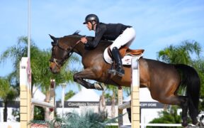 Grand Prix internazionali: ecco i podi (#week 47)