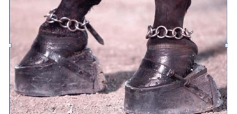 L'incubo del "soring" sta per finire per sempre