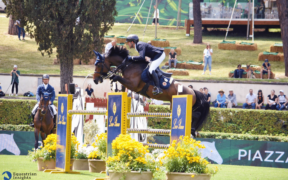 Top Jumping Horses: Cayman Jolly Jumper