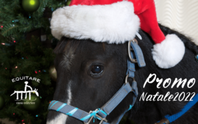 - 20% su tutto il catalogo di Equitare Casa Editrice