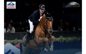 Grand Prix internazionali: ecco i podi (#week 52)
